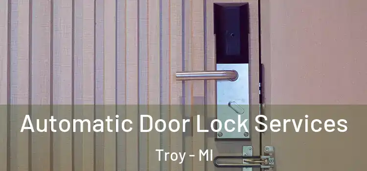 Automatic Door Lock Services Troy - MI