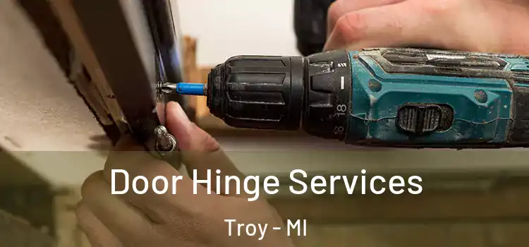 Door Hinge Services Troy - MI