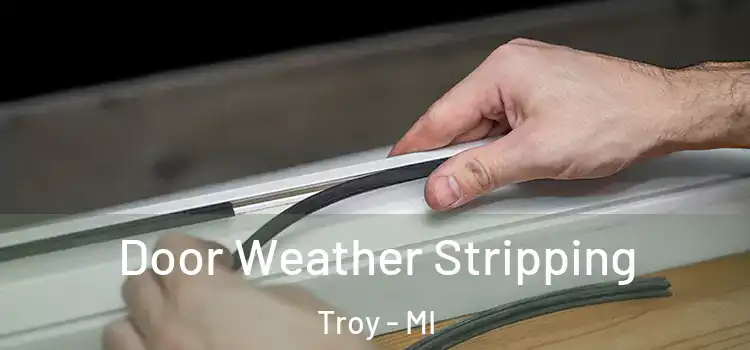 Door Weather Stripping Troy - MI