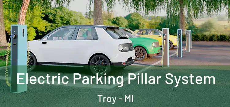  Electric Parking Pillar System Troy - MI