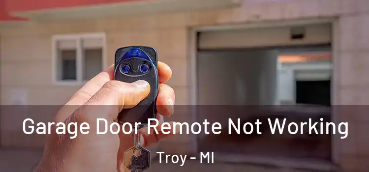  Garage Door Remote Not Working Troy - MI