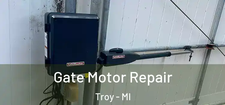Gate Motor Repair Troy - MI