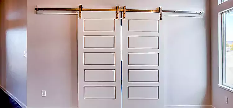 Glass Barn Door with Installation Hardware Kit Troy