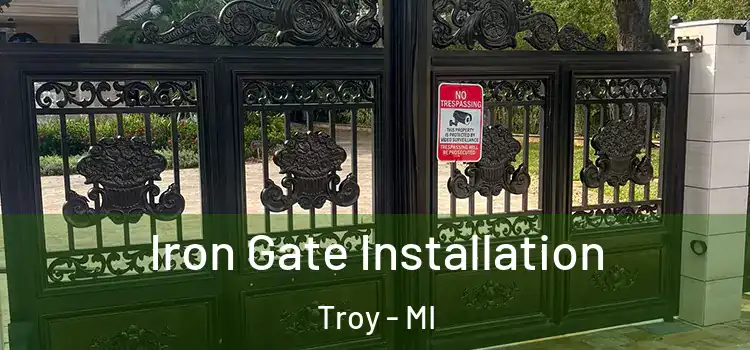 Iron Gate Installation Troy - MI